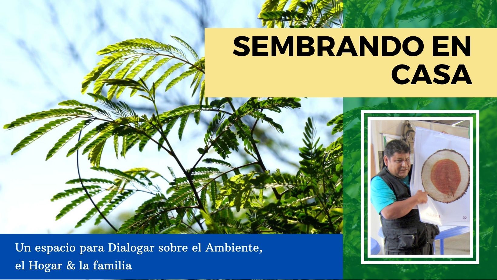 Diseño de fotografias 6